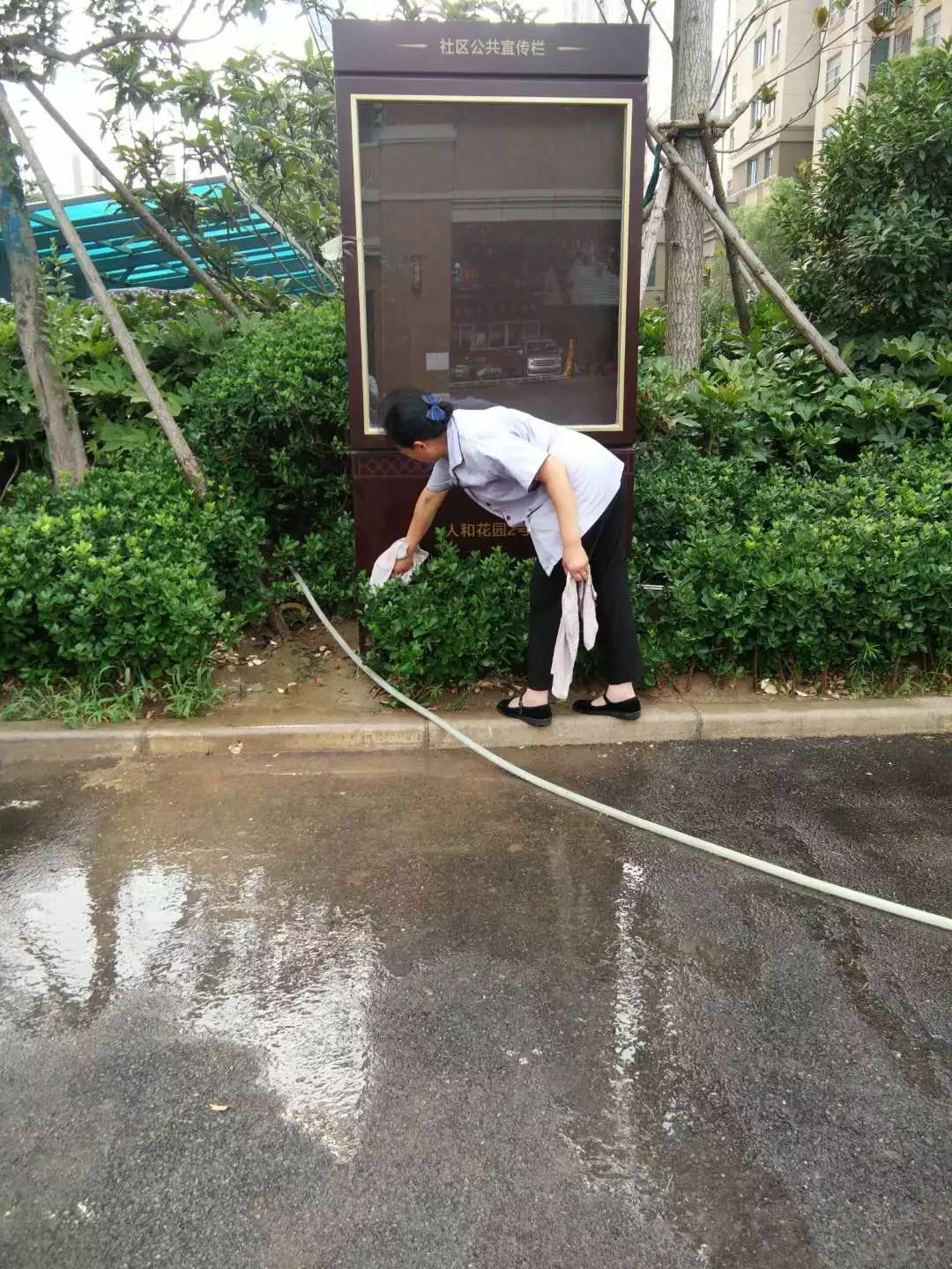 炎炎的夏日 一滴滴的汗水 來(lái)看看愛(ài)崗敬業(yè)家人們