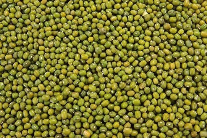 綠豆分享