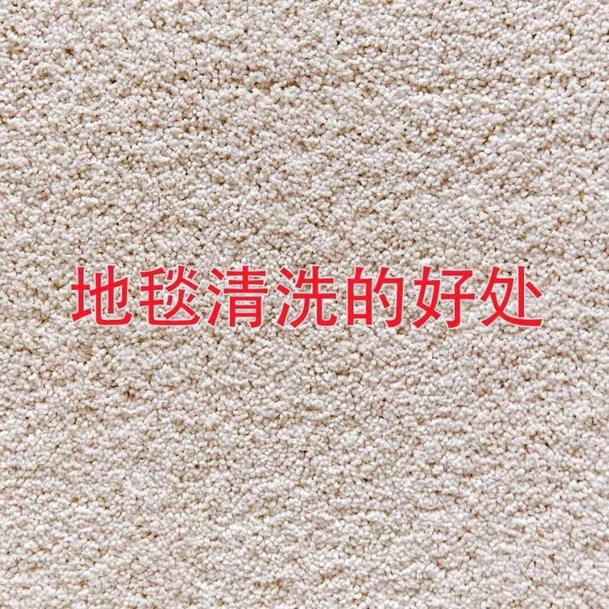 定期地毯清洗的好處